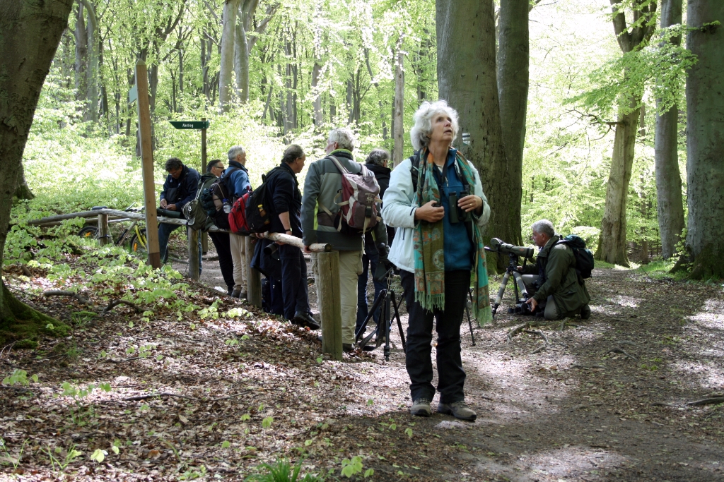 VWG vogelreis Oost Duitsland mei 2010 121